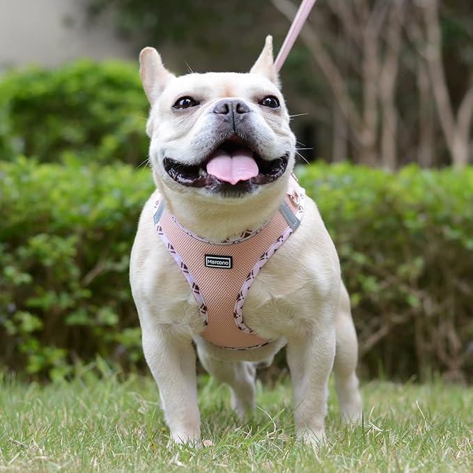 Mercano Soft Mesh Dog Harness and Leash Set, No-Chock Step-in Reflective Breathable Lightweight Easy Walk Vest Harnesses with Safety Buckle for Small Dogs, Cats (Champagne, L)