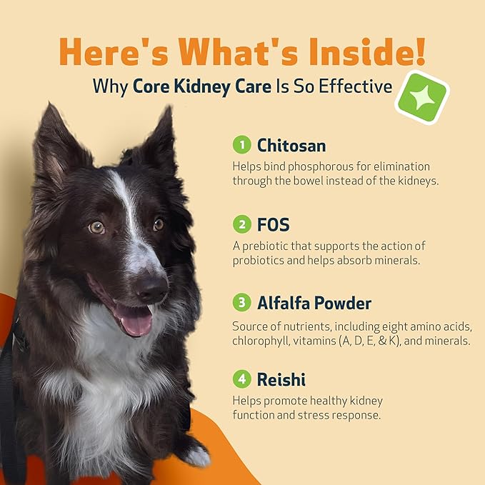 Pet Wellbeing Core Kidney Care for Dogs - Daily Phosphate Binder, Supports Healthy Kidney Function with FOS, Chitosan, Probiotics - Veterinarian-Formulated 5.08 oz (144 g) Powder