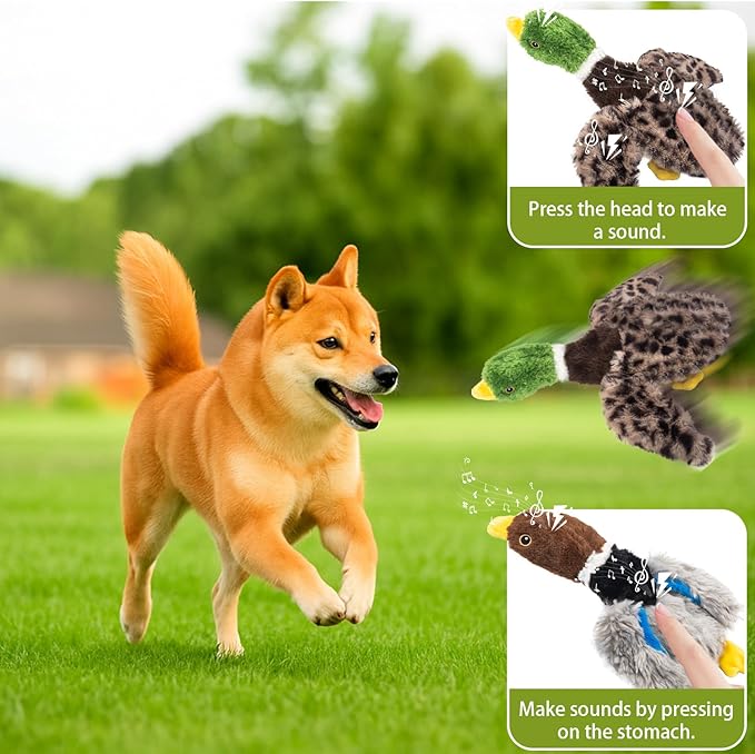 Stuffing-Free Squeaky Duck Dog Toys 2-Pack: Hollow-Body Gray Plush (2 Squeakers) & Mallard (4 Squeakers) | Safe Chew Design for Aggressive Dogs