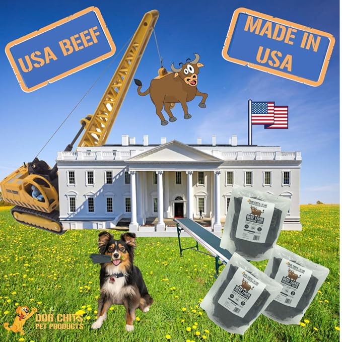 Dog Chits Beef Liver-Premium Cuts | Dog and Puppy Chews | Made in USA, Grass Fed Beef | All-Natural Quality Treats | Easily to Break (Training) | Large and Small Breeds | Irresistible Liver |10 oz.