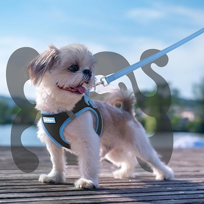 rabbitgoo Dog Harness Small Sized and Leash Set, Step-in Breathable Pet Harness, Soft Walking Reflective Puppy Vest for Small Dogs, Black & Light Blue, XS