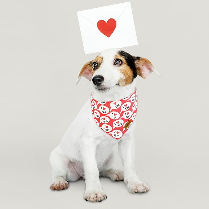 Dog Bandanas with Snap Button - 2 Pack Reversible Heart Dog Scarf for Boy & Girl, Premium Durable Fabric, Pet Bandana for Medium and Large Dogs (Large)