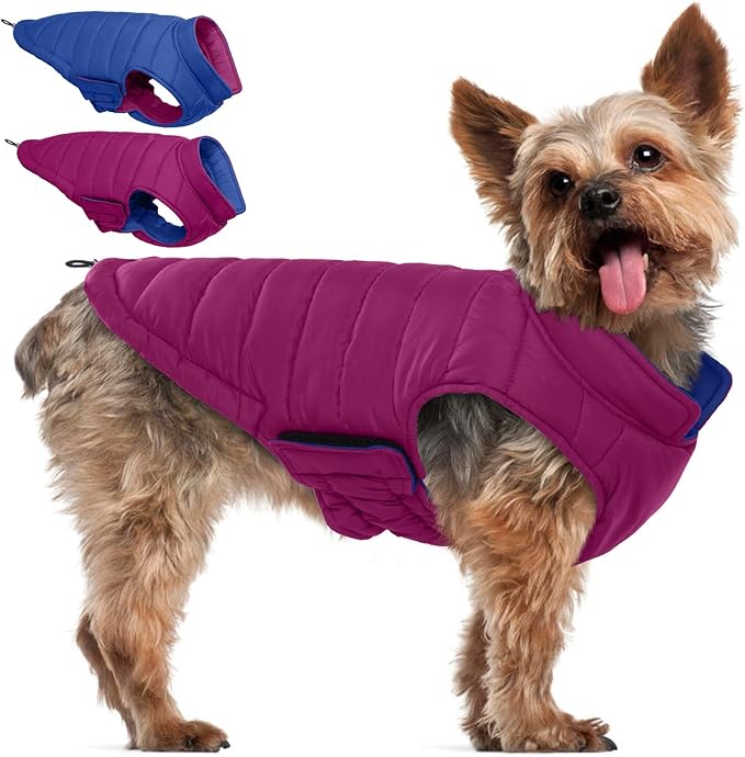 QBLEEV Reversible Dog Puffer Coat, Waterproof Warm Vest for Dogs, Windproof Padded Jacket for Small Dogs, Adjustable Puppy Winter Coats, Snow Cold Weather Coats for Chihuahua Yorkie, Violet, S