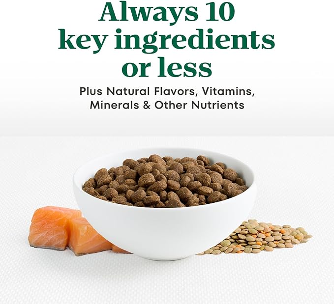 Nutro Limited Ingredient Diet Adult Dry Dog Food, Salmon & Lentils Recipe, 4 lbs.