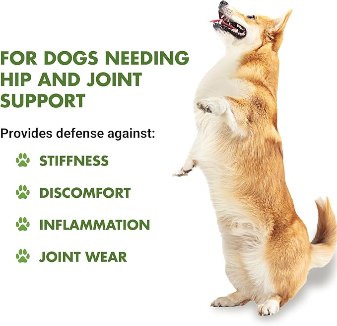 K9 Hip & Joint Wellness, Pot Roast, 16 oz