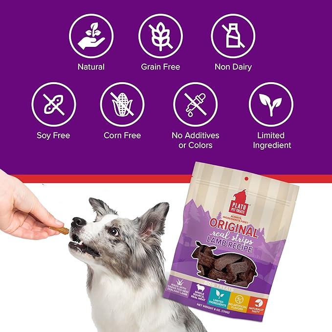 PLATO Pet Treats Real Strips - Air-Dried Meat Bars for Dogs - Delicious, Limited Ingredient Dog Treats - Grain Free - Original Real Strips Lamb 6oz