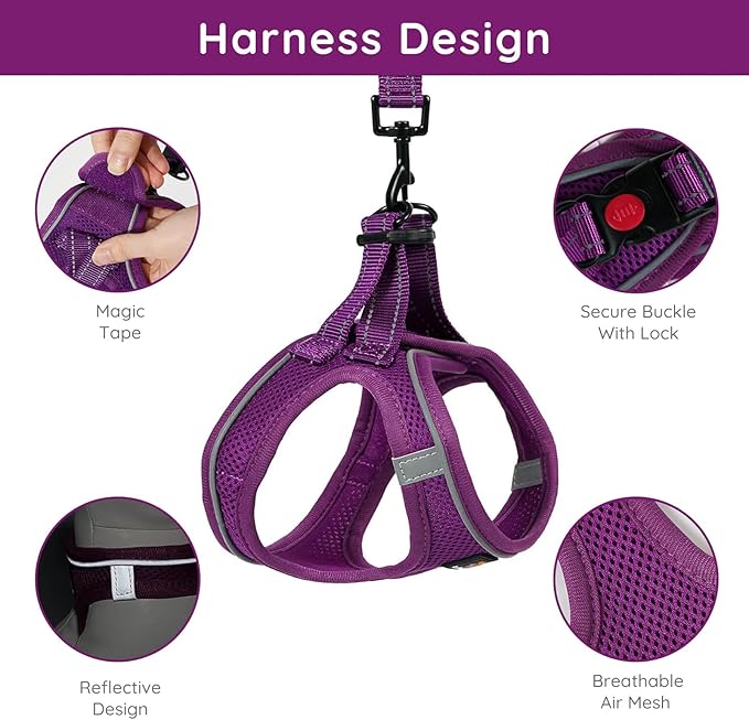 BELLA & PAL Step in Vest Harness for Small and Medium Dogs, No Pull Small Dog Harness with Leash Set, Comfortable Air Mesh Dog Vest Harness with Reflective Strip (Grape Purple, XS)