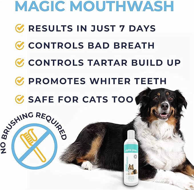 Alpha Paw Magic Mouthwash for Dogs, Natural Water Additive, Canine Breath Freshener, Dog Essentials for Plaque and Tartar Treatment, Made in The USA (8 oz)