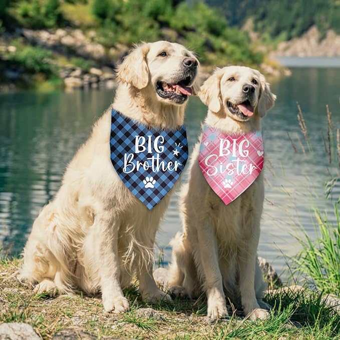 2 Pack Big Brother Big Sister Bandana for Dog Gender Reveal Dog Bandana Pregnancy Announcement Photo Prop Pet Scarf Accessories for Small Medium Large Dog