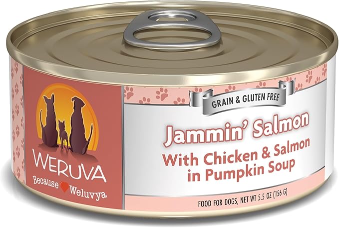 Weruva Classic Dog Food, Jammin' Salmon with Chicken & Salmon in Gravy, 5.5oz Can (Pack of 24)