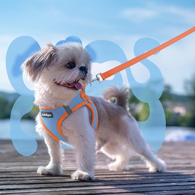 rabbitgoo Dog Harness Small Sized and Leash Set, Step-in Breathable Pet Harness, Soft Walking Reflective Puppy Vest for Small Dogs, Light Blue & Orange, XXS