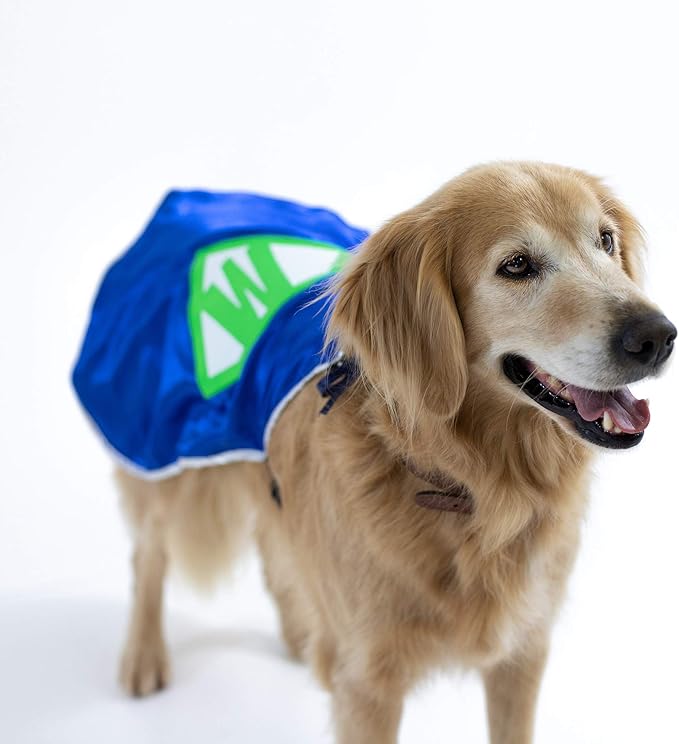 Everfan Personalized Dog Superhero Cape (X Large 25" Long (50-90 lbs), Orange)