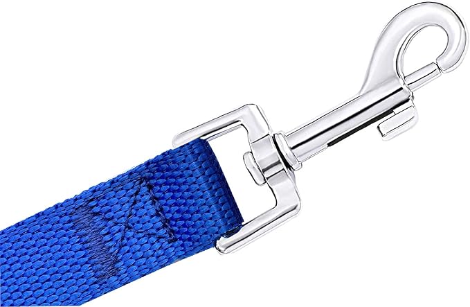 PETGOGO 15ft 20ft 30ft 40ft 50ft Long Dog/Puppy Lead Obedience Recall Training Dog Leashes for Small Medium Dogs Camping, Training, Play, or Backyard (Blue, 1" x 40FT)