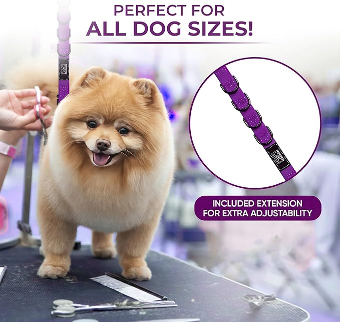 Prestige Elite - Set of 6 - Dog Groomers Helper Grooming Loops for Pet Groomers Adjustable Biothane Dog Grooming Loop, Belly Strap, Grooming Noose, Extension Strap & Suction Cups - Grooming Leash