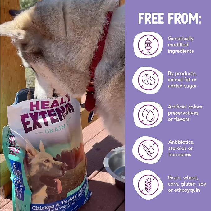 Health Extension Grain Free Chicken & Turkey Dry Dog Food (4 lb / 1.81 kg) - Whole Foods Ingredients Formula with a Blend of Turmeric & Antioxidants for All Life Stages Dogs (Pack of 2)