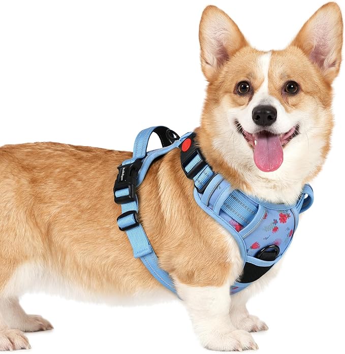 rabbitgoo Dog Harness Small Sized, No Pull Pet Harness with 3 Buckles, Adjustable Soft Padded Vest with Control Handle, Walking Reflective Pet Vest for Small Dogs, Floral Blue, S