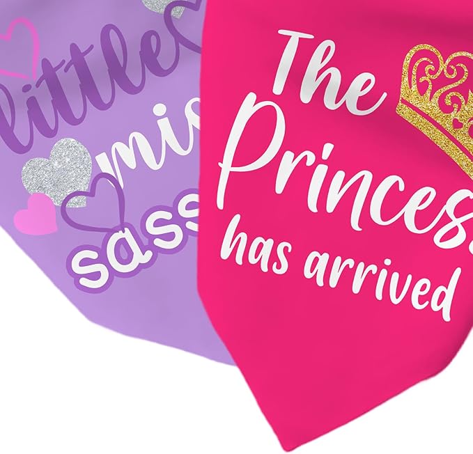 Puppy Bandana 2 Pcs, Princess Sassy Pet Scarf Gifts for Dog Girl, Pink Purple Cute Puppy Bandana for Medium to Large Pet Dogs On Birthday, Cute Girl Dog Scarf Kerchief, Gifts for Dogs Lovers