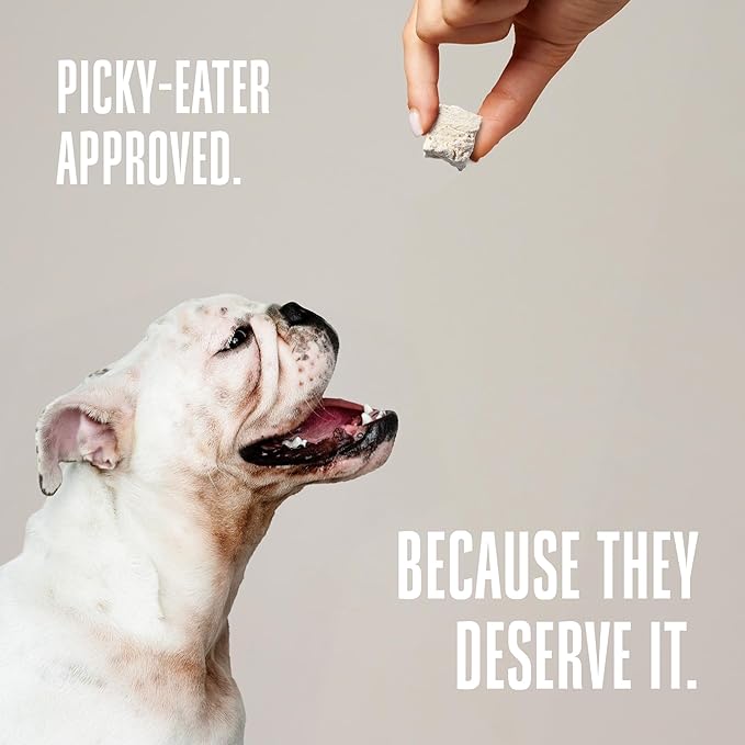 Whole Life Dog Just One Turkey Freeze Dried Dog Treats - Human Grade High Protein Food, Healthy Training Snacks, Freeze Dried Food Toppers, USA Made Natural Treats - 2.5 oz (Value Pack of 1)