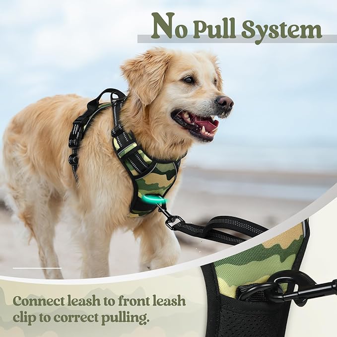 rabbitgoo Dog Harness No Pull with 2 Leash Clips, Adjustable Soft Padded, Reflective Oxford No Choke Pet Vest with Easy Control Handle for Large Dogs, Green Mountain, XL