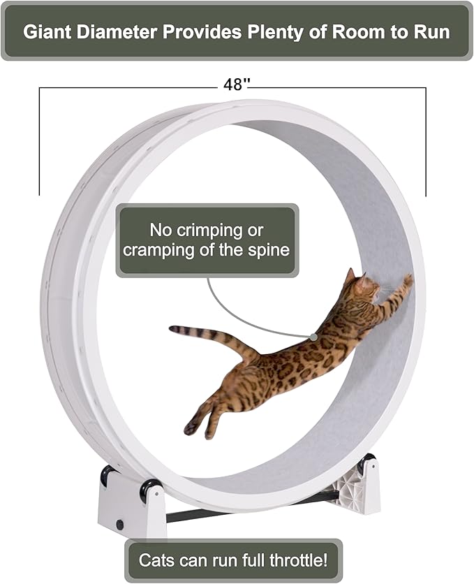 One Fast Cat - Cat Exercise Wheel - Gen. 7 - Safe 48" Diameter - Made in The USA - White Wheel with Gray Felt Traction Pads and Solid Black Inline Wheels