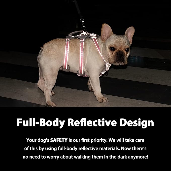 Huntboo Escape Proof Dog Harness, Escape Artist Harness, Fully Reflective Harness with Padded Handle, Breathable,Durable, Adjustable Vest for Medium Dogs Walking, Training, and Running Gear (Black,XS)