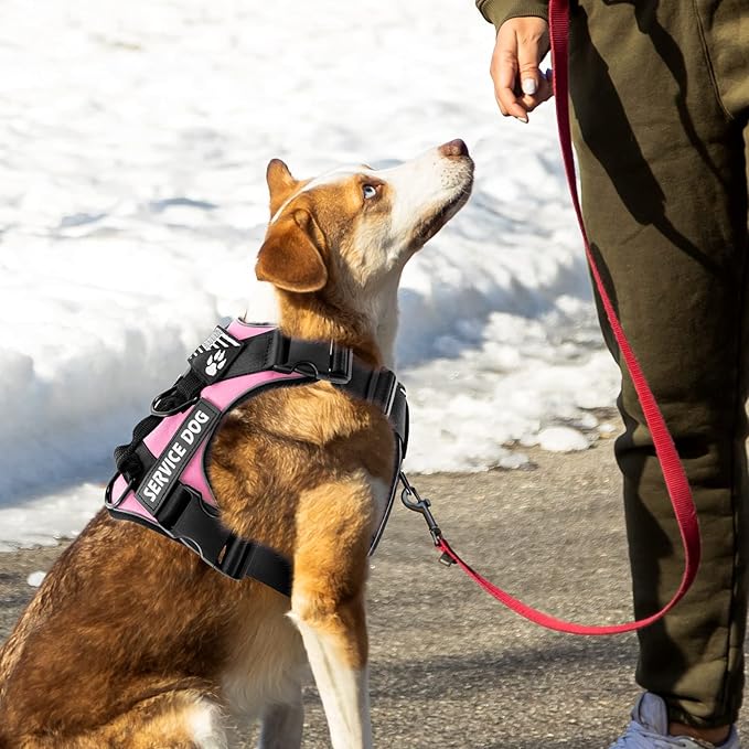 Demigreat Service Dog Harness, Reflective Dog Vest Harness with 5 PCS Patches, Adjustable Soft Oxford Pet Harness, Inner Layer Mesh, Easy to Control for Dogs