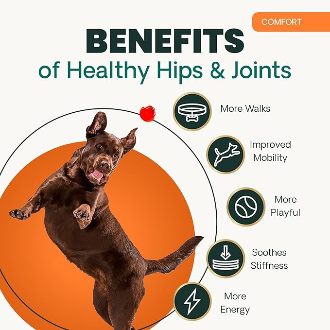 VetriScience Extra Strength Healthy Hip & Joint Chews, GlycoFlex Glucosamine and Green-Lipped Mussel Joint Support Supplement for Dogs, Promote Mobility & Soothe Joint Discomfort, Chicken, 60 Count