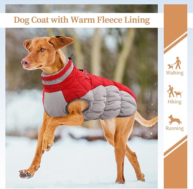 Dog Coats for Small Dogs, Puppy Coat, Warm Winter Jacket, XS Dog Coat with Harness Built in, Waterproof Pet Cold Weather Coats, Puppy Winter Clothes Snowsuit Chihuahua Maltese,Red,XS