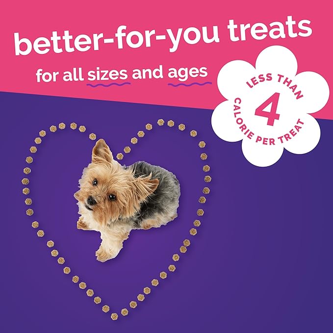 Fruitables Skinny Mini Dog Treats, Healthy Sweet Potato Treat for Dogs, Low Calorie & Delicious, Puppy Training, Free of Wheat, Corn and Soy, Made in the USA, Grilled Bison Flavor, 5oz