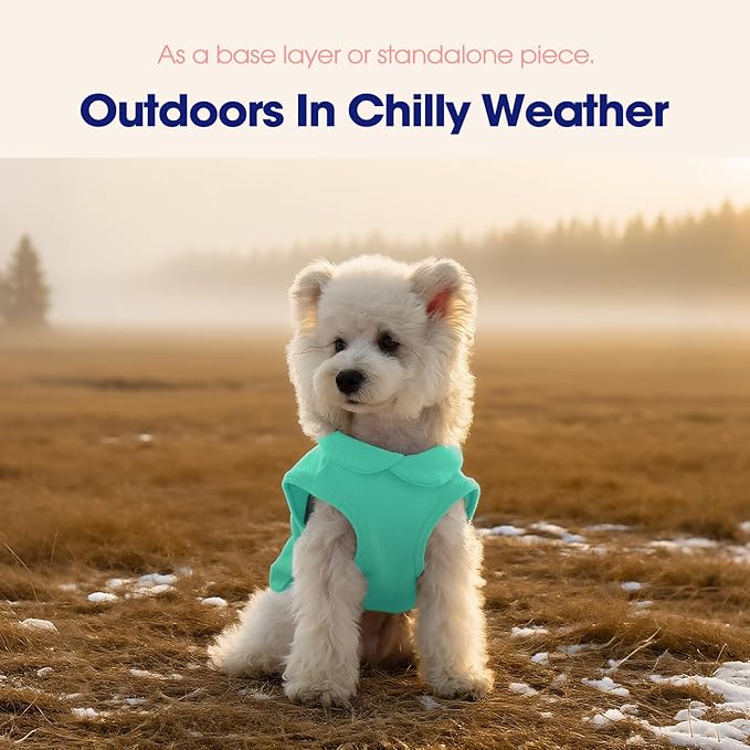 FUAMEY Dog Fleece Vest for Small Dogs,Warm Stretchy Dog Sweatshirts Pullover with Leash Hole Dogs Sweater Soft Pet Turtleneck Cozy Pet Vest Lightweight Sleeveless Cyan XXS