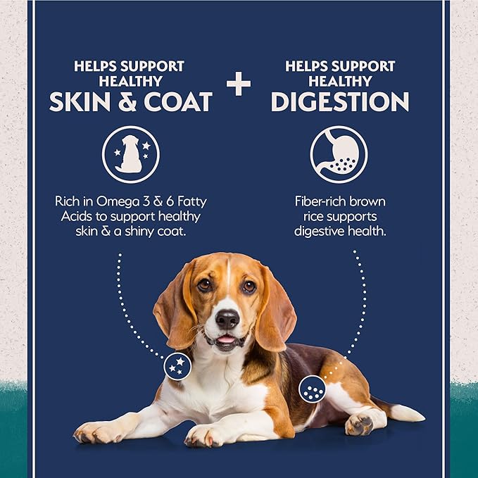 Natural Balance Limited Ingredient Adult Dry Dog Food with Healthy Grains, Chicken & Brown Rice Recipe, 24 Pound (Pack of 1)