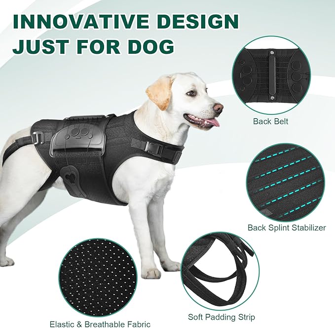 Dog Back Brace for IVDD, Arthritis, Slipped and Herniated Discs – Provides Back Support and Pain Relief, Stabilizes Spine for Surgical Recovery and Mobility, Dogs Back Disease Prevention(Black,XL)