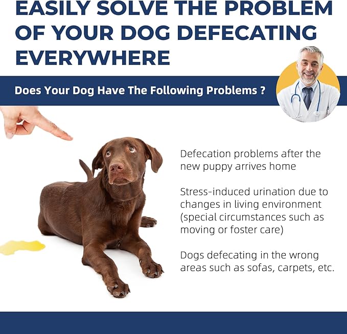 Potty Training Spray for Dogs,Puppy Potty Training Spray,Address Canine Inappropriate Elimination Habits | Proven HousebreakiHousebreng Methods for Indoor & Outdoor Environments 3.51 Oz