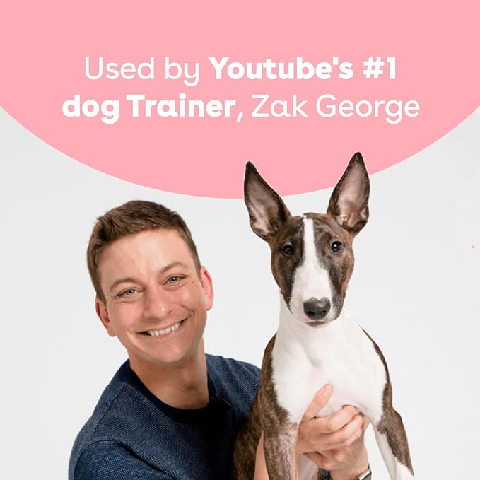 Pupford Freeze Dried Training Treats for Dogs & Puppies, 1400+ Two Ingredient Bites (Salmon, 4 oz, 3 Pack)