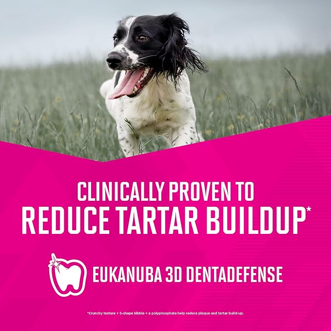 Eukanuba Senior Small Breed Dry Dog Food, 15 lb