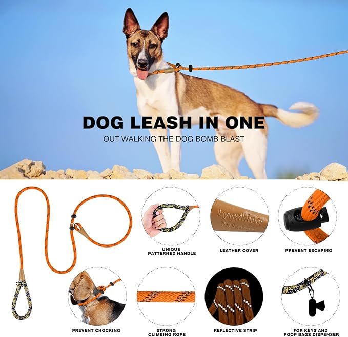 lynxking Slip Lead Dog Leash Reflective, Heavy Duty Comfortable Strong Rope for Large Medium Small Dogs No Pull Pet Training (Orange, 2PCS Large 1/2in x 6ft)