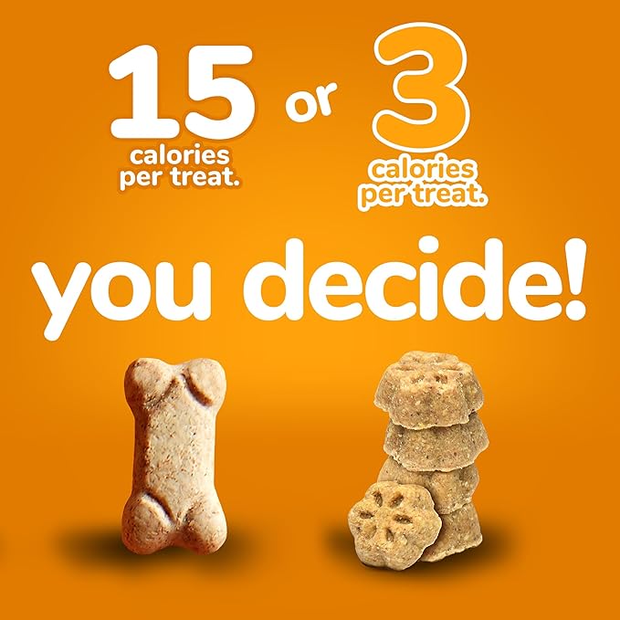 Fruitables Skinny Mini Dog Treats – Healthy, Low Calorie Training Treats – Wheat, Corn & Soy Free – Pumpkin Mango – 5 Ounces (Pack of 2)