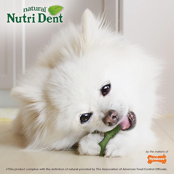 Nylabone Nutri Dent Natural Dental Chews for Dogs, Limited Ingredient Dog Treats Made in the USA, Clean Teeth & Fresh Breath, Healthy Dog Chews, Fresh Breath Flavor, For X-Small Dogs, (78 Count)