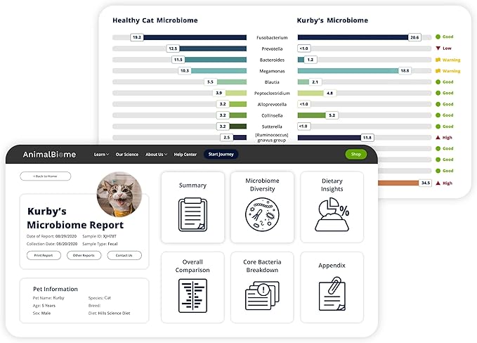 AnimalBiome Cat Probiotics Test Kit - Gut Microbiome Health Test - KittyBiome (Cats Within The US)