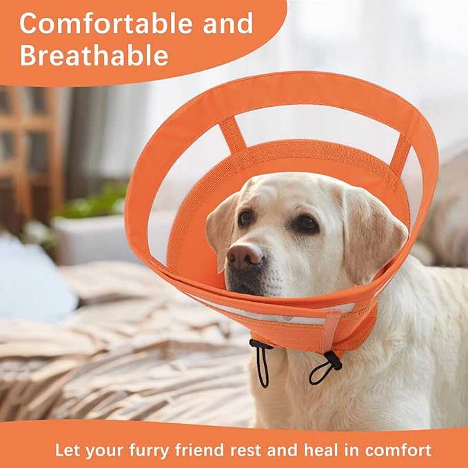 ASENKU Dog Cone Collar, Soft Adjustable Cone for Dogs to Stop Licking, Lightweight Recovery Dog Cone After Surgery, Pet E-Collar for Small, Medium & Large Dogs(Orange, S)