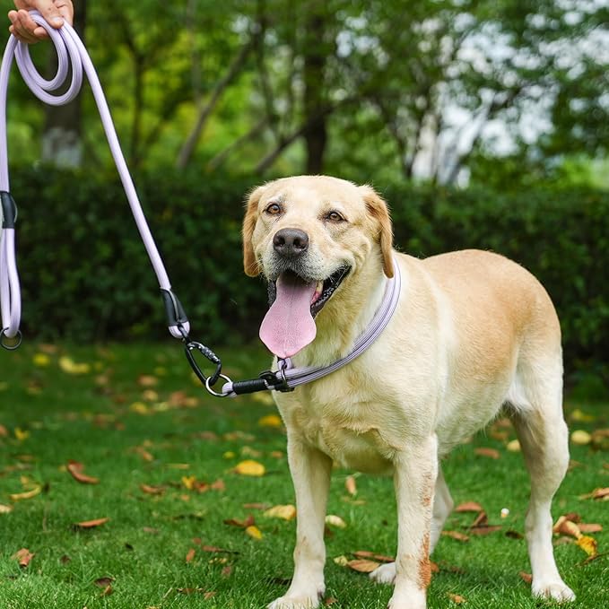 Rope Dog Leash, 6 Foot Heavy Duty Dog Leash with Aviation Aluminum Auto Locking Carabiner, Strong Nylon Pet Lead for Small, Medium, Large Dogs (Purple, 6FT)