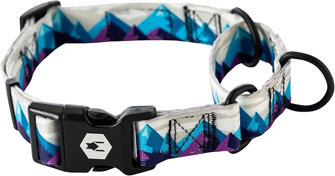 Wolfgang Heavy Duty Martingale Dog Collar with Quick Release Nylon Buckle for Walking & Training, RockyPeaks Print, X-Large