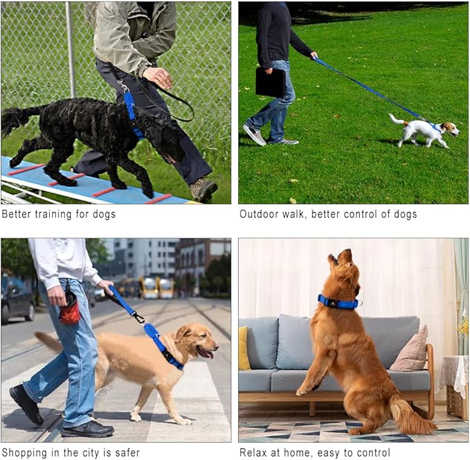 Plutus Pet Reflective Martingale Collar with Buckle - Durable and Adjustable Training Collar for No Pulling, Dog Choker Collar for Small Medium Large Dogs, Royal Blue, S