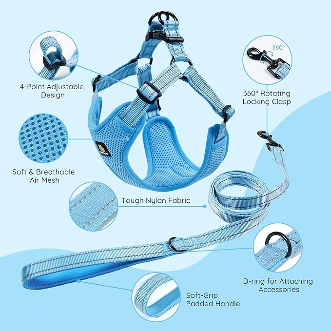 BELLA & PAL Adjustable Step-in Dog Harness, Puppy No-Pull Vest with Leash Set for XS/Small & Medium Dog, Breathable All-Weather Mesh, Reflective Strip, Secure Hook & Loop, Buckle Closure, Dual D-Rings