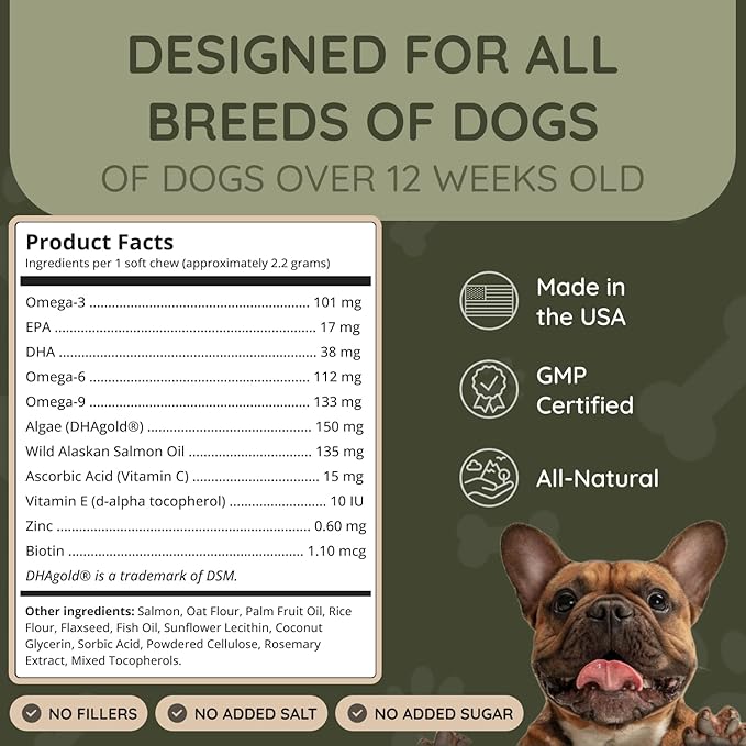 Asher House Wellness Skin & Coat Chews - Dog Itching Skin Relief with Omega 3, 6, 9, Fish Oil, Biotin - Dogs Itchy Paw Licking Chewable Treats, Puppy Dry Itch Supplement - 120 Soft Chews