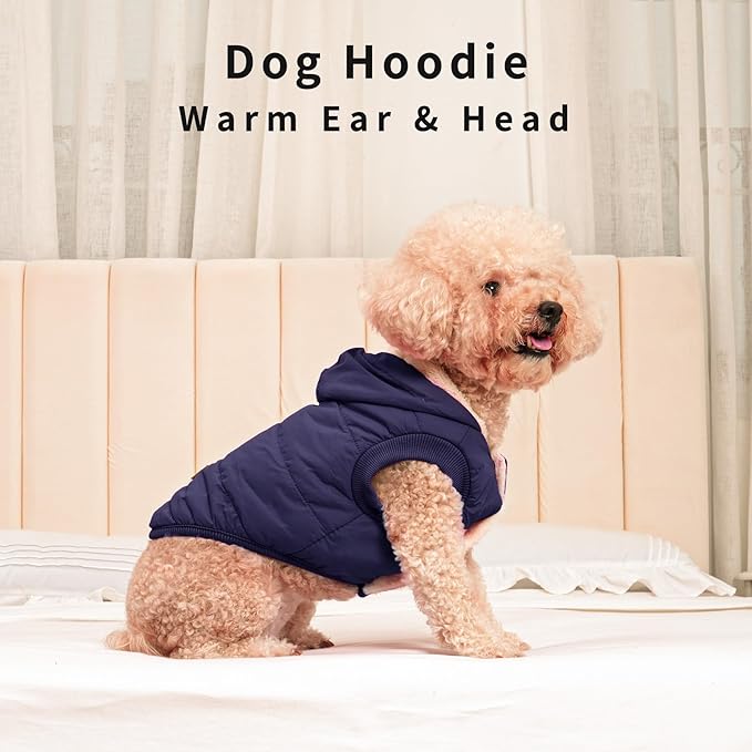 Fleece Lining Extra Warm Dog Hoodie in Winter for Small Dogs Jacket Puppy Coats with Hooded,Blue M