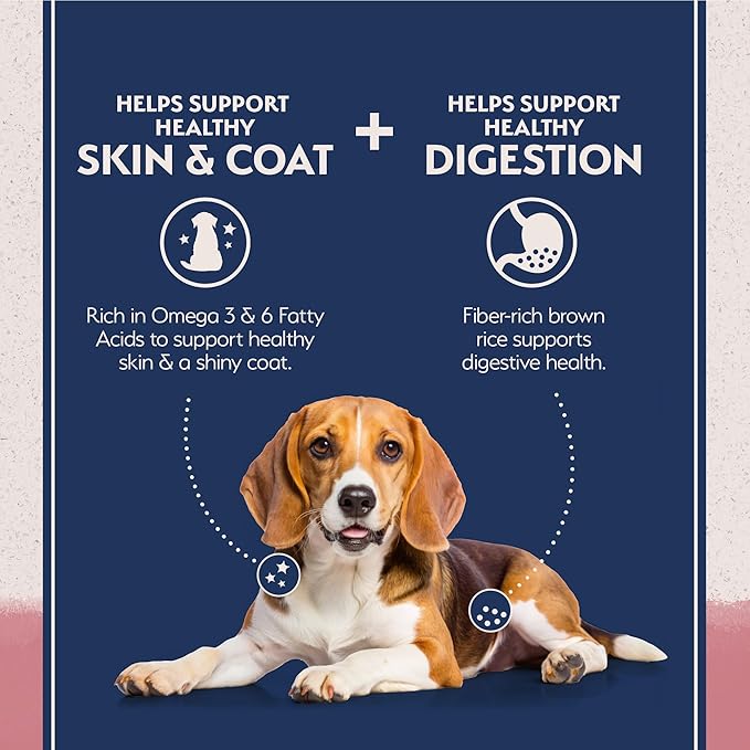 Natural Balance Limited Ingredient Adult Dry Dog Food with Healthy Grains, Salmon & Brown Rice Recipe, 12 Pound (Pack of 1)