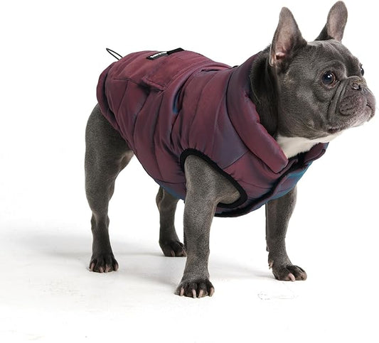 Spark Paws Dog Winter Jacket, Water-Resistant Coat, Warm Reflective Windproof Fleece-Interior, for Medium and Large Dogs - Cosmic - XL