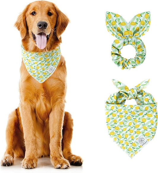 E-Clover Summer Lemon Dog Bandanas & Matching Scrunchie Set Green Stripe Dog Scarf Bibs Pet Bandana with Bow Tie for Medium Large Dogs Owner Mom