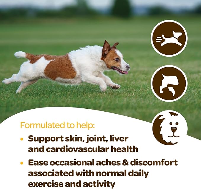 Turmeric for Dogs Soft Chews | Hip and Joint Chews for Dogs Comfort & Mobility with Collagen for Dogs | Dog Joint Supplement for All Ages Breeds & Sizes | NASC Certified & Made in The USA | 60 Chews